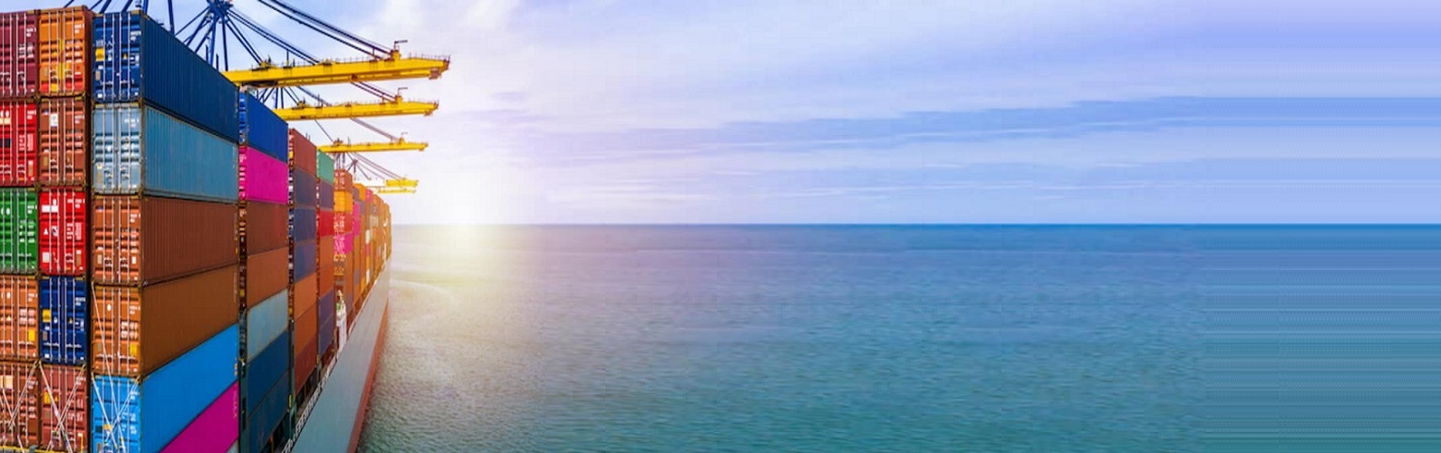 hanibis importa��o e exporta��o, hanibis, hanibis, hanibis.com.br, www.hanibis.com.br